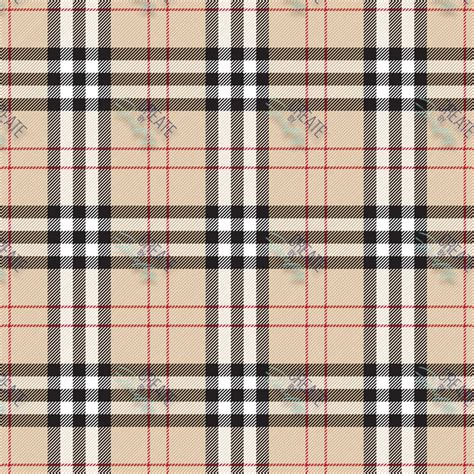 shawn benton's burberry plaid|previous plaid burberry campaign.